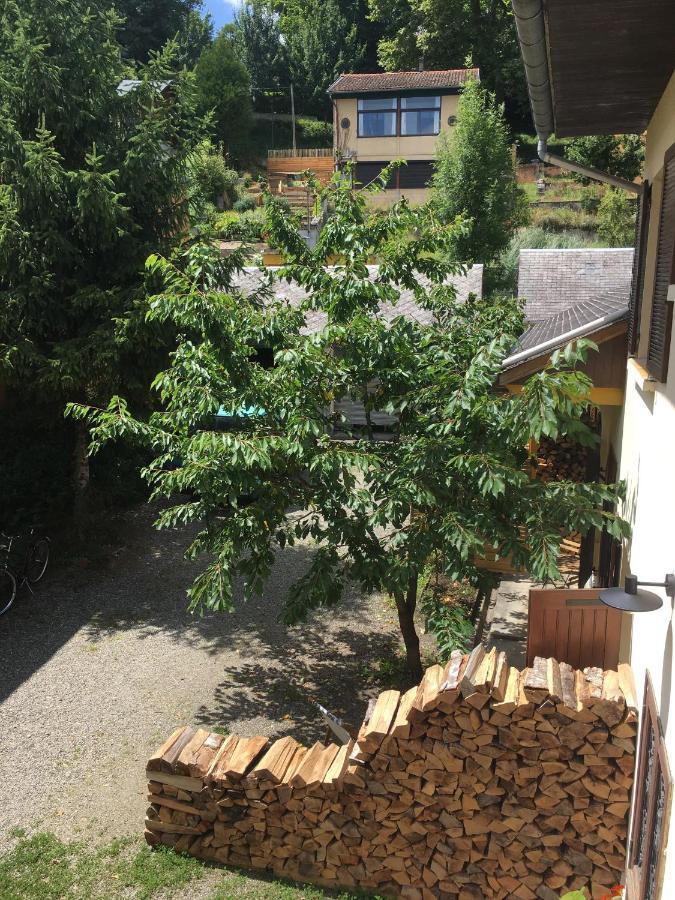 Charmant Appartement Sur Cour, Le Cerisier Баньєр-де-Бігорр Екстер'єр фото