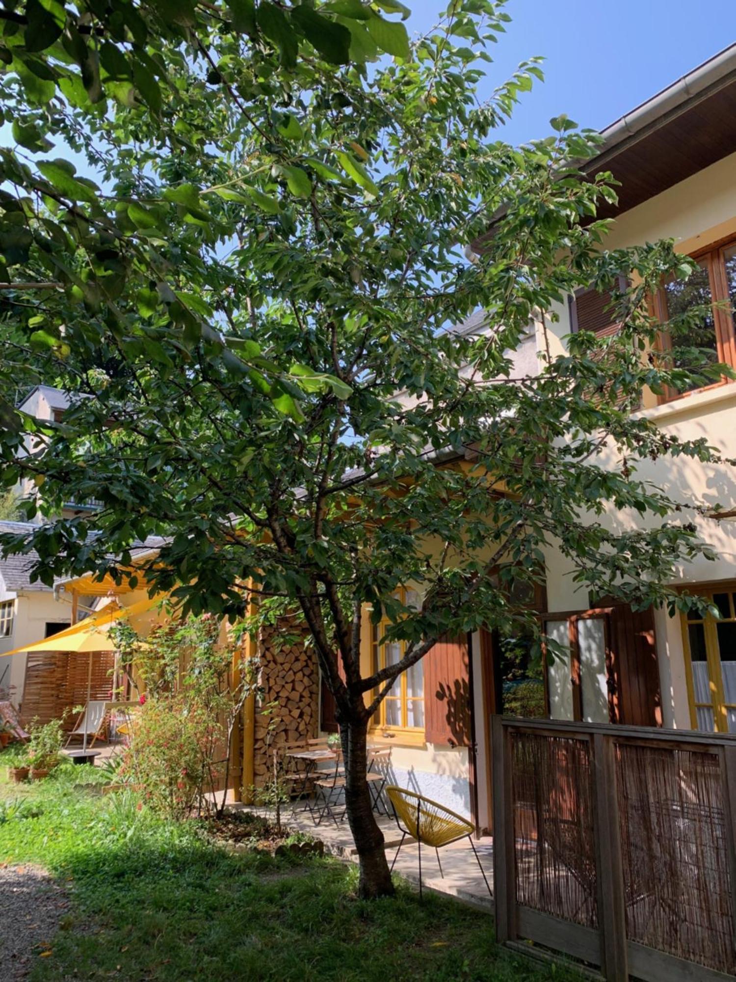 Charmant Appartement Sur Cour, Le Cerisier Баньєр-де-Бігорр Екстер'єр фото