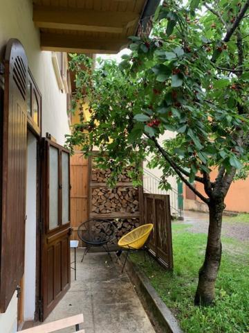 Charmant Appartement Sur Cour, Le Cerisier Баньєр-де-Бігорр Екстер'єр фото