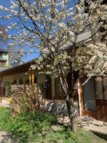 Charmant Appartement Sur Cour, Le Cerisier Баньєр-де-Бігорр Екстер'єр фото